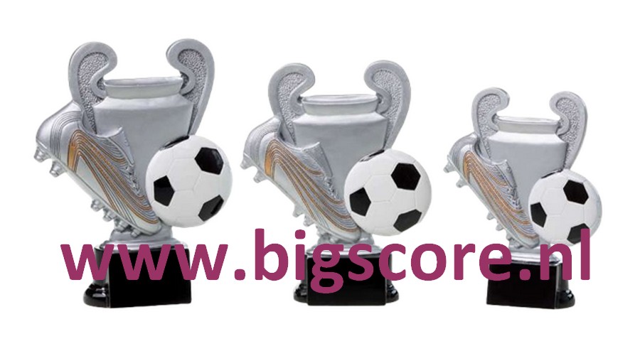 Voetbal Cup Resinbeeld BSST 39256-39258